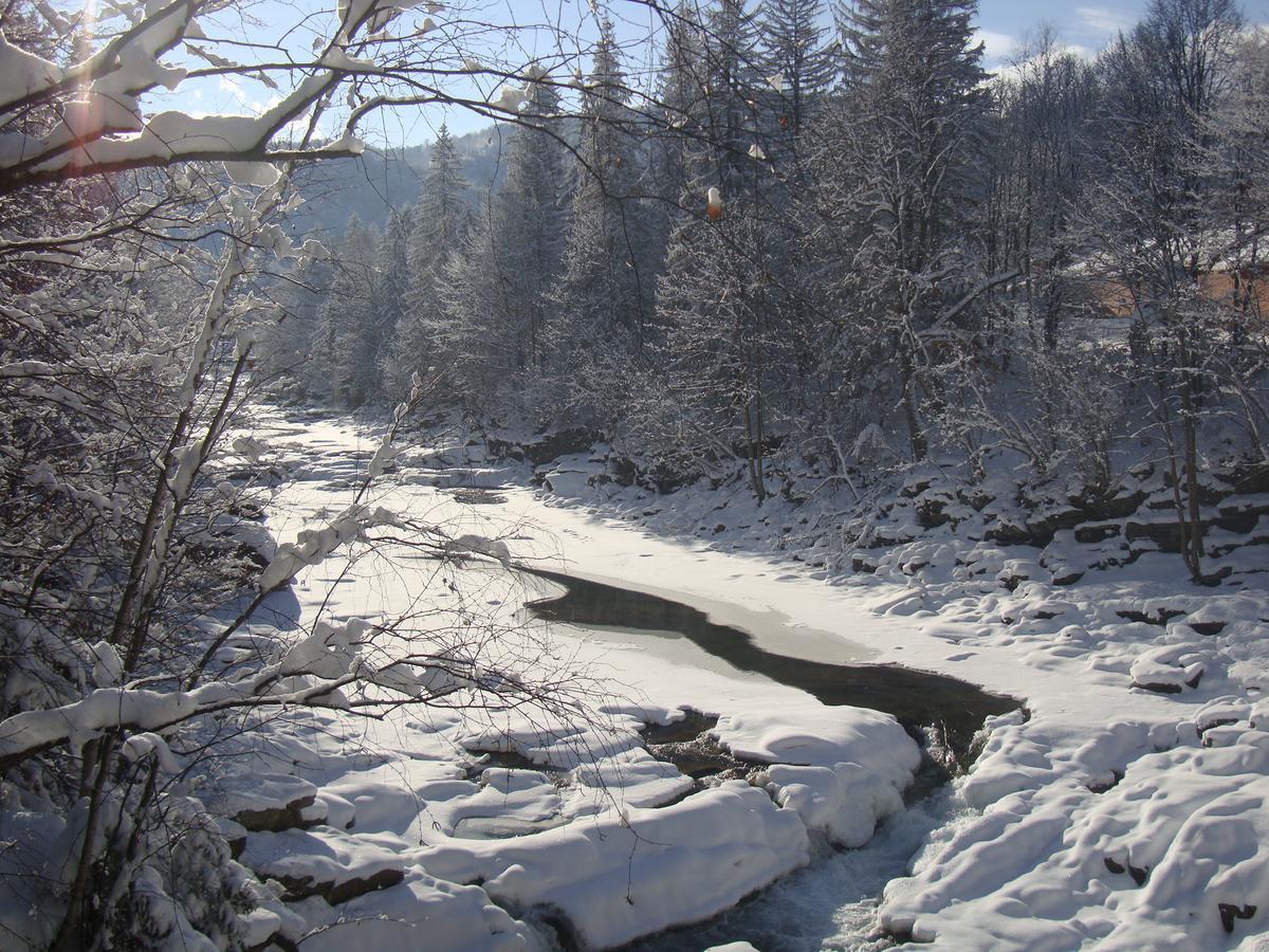 Котедж Гірський Yaremche Luaran gambar