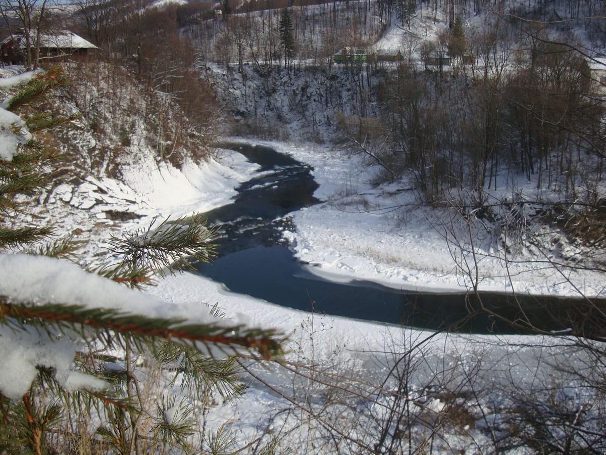 Котедж Гірський Yaremche Luaran gambar