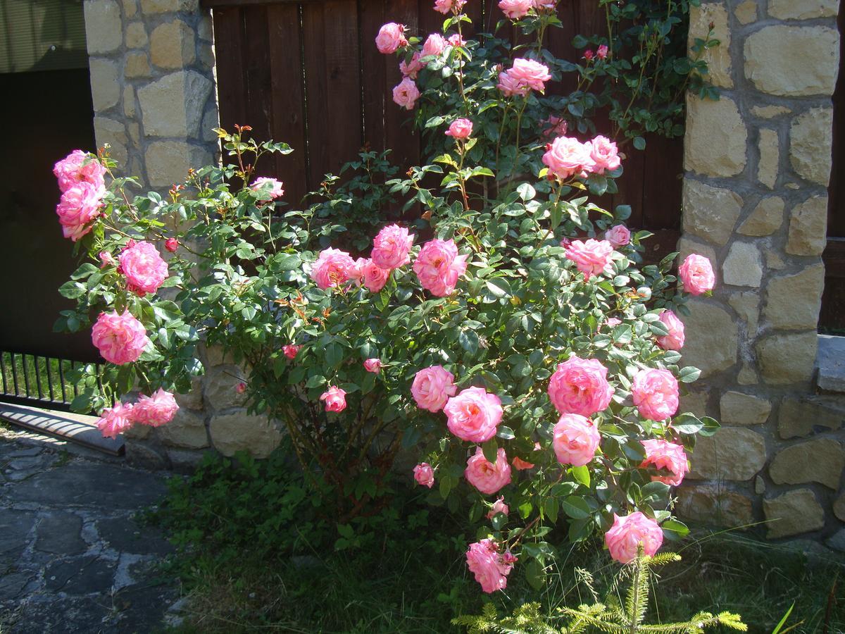 Котедж Гірський Yaremche Luaran gambar